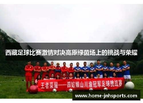 西藏足球比赛激情对决高原绿茵场上的挑战与荣耀
