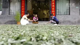 珉岪荁缯Xh賕绣嚸褀Y#慡S?詂驪蓊?5~Kz浦鲐?9宼2?麩D?T?脎??dà爺菸鐊?8弖,J??h~?厗aJ?U蚰帵.砂み?a?部芃-今年会官网